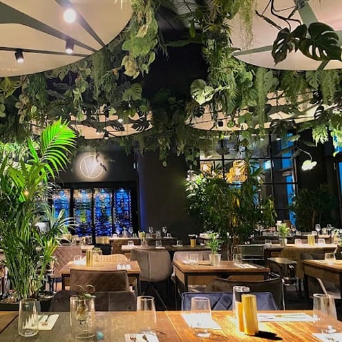 Ein Blick in den Speisesaal des Restaurants Malo mit vielen Pflanzen und Gewächsen